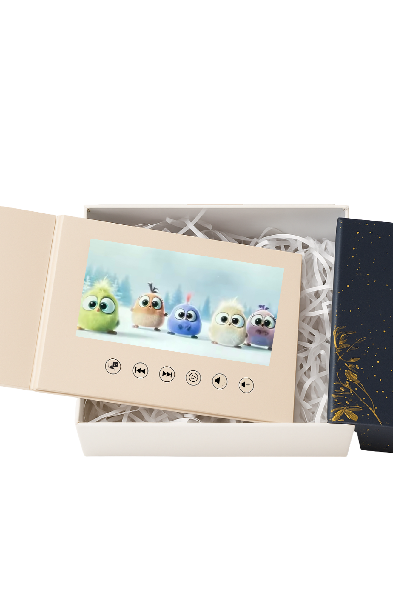 Video Book